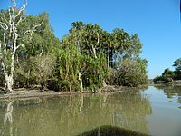 DSCN2075.JPG