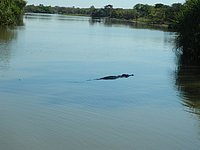 DSCN2079.JPG