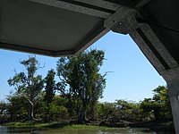 DSCN2088.JPG