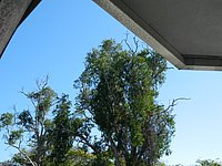 DSCN2090.JPG