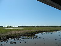 DSCN2095.JPG