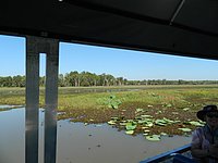 DSCN2099.JPG