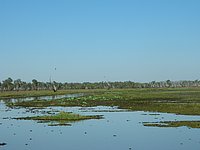 DSCN2101.JPG