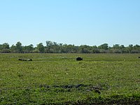 DSCN2102.JPG