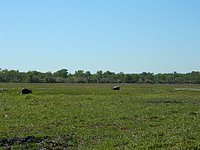 DSCN2103.JPG