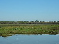 DSCN2105.JPG