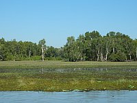DSCN2106.JPG
