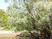 DSCN2108.JPG