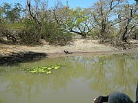 DSCN2113.JPG