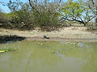 DSCN2114.JPG