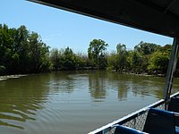 DSCN2115.JPG