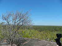 DSCN2120.JPG
