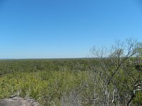 DSCN2122.JPG