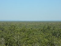 DSCN2124.JPG