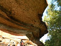 DSCN2131.JPG