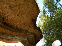 DSCN2134.JPG