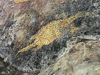 DSCN2208.JPG