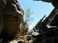 DSCN2213.JPG