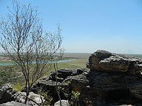 DSCN2220.JPG