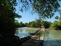 DSCN2250.JPG