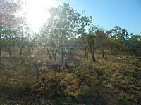 DSCN2258.JPG
