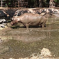 DSC_0043.JPG