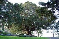 IMGP8573.JPG