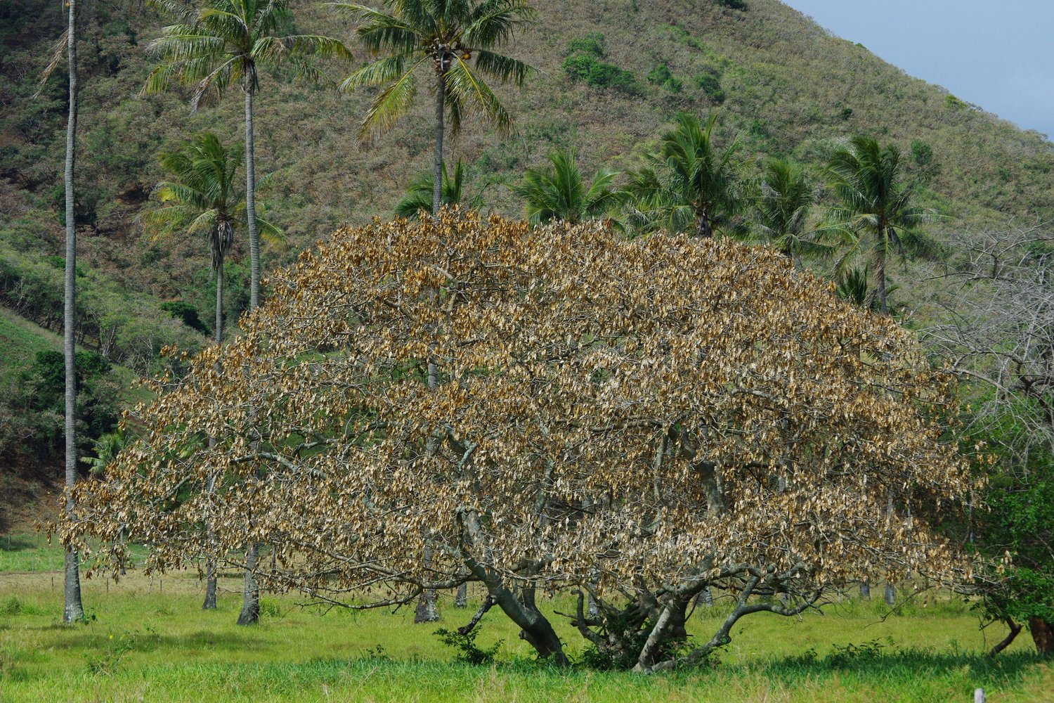 IMGP8759.JPG