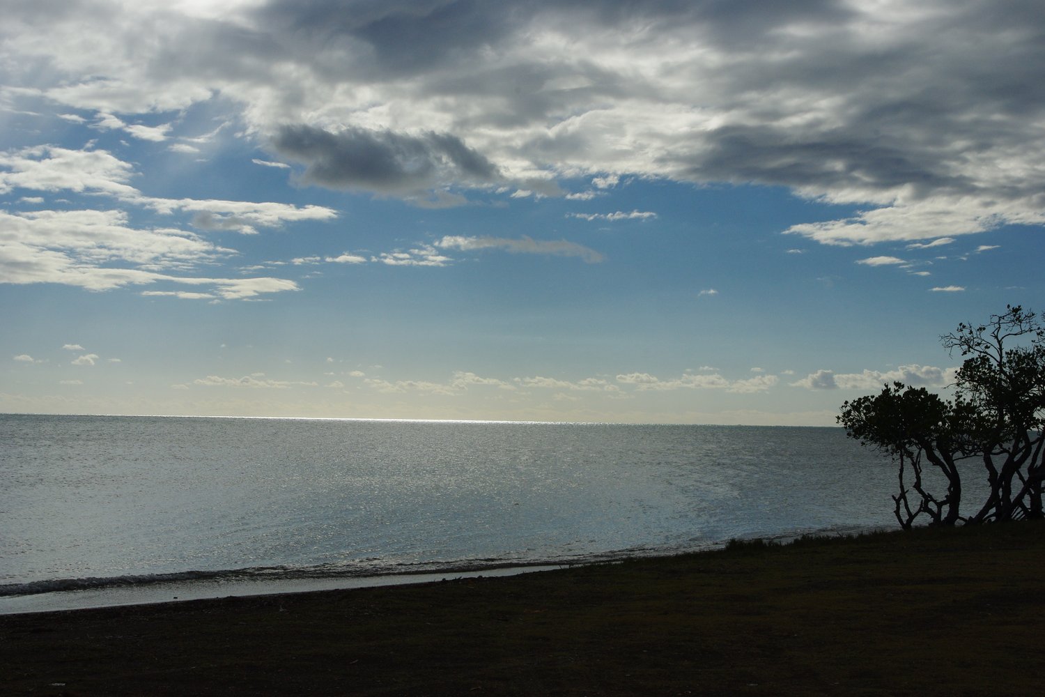 IMGP8762.JPG