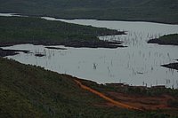 IMGP8734.JPG
