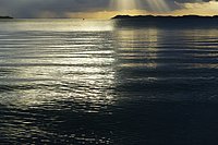 IMGP8832.JPG