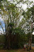 IMGP8846.JPG