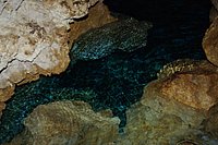 IMGP9158.JPG