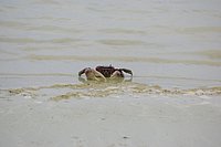IMGP9372.JPG