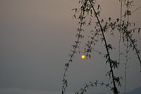 IMGP2963.JPG