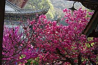 IMGP3338.JPG