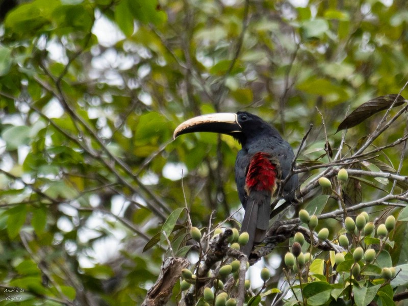 Image012.jpg
