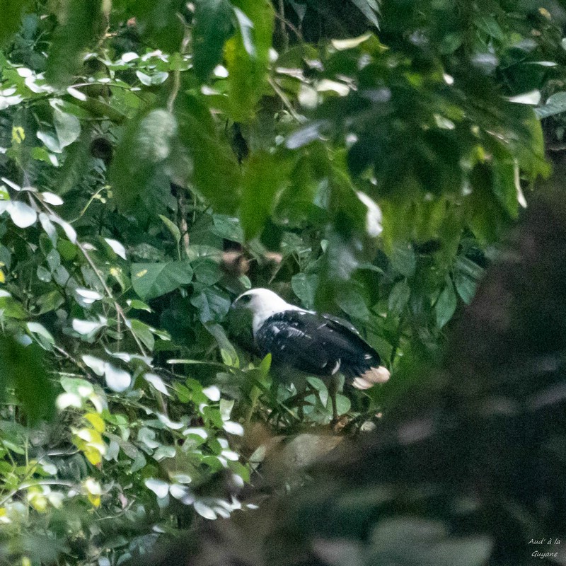 Image031.jpg
