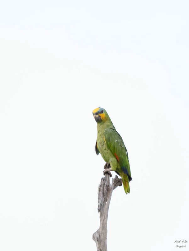 Image035.jpg