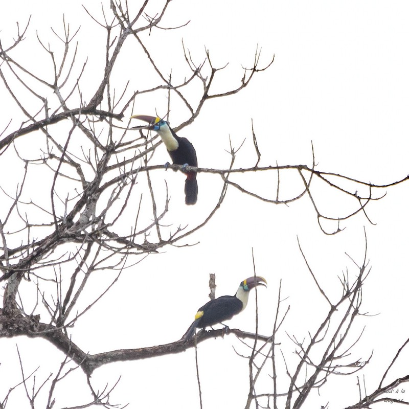 Image051.jpg
