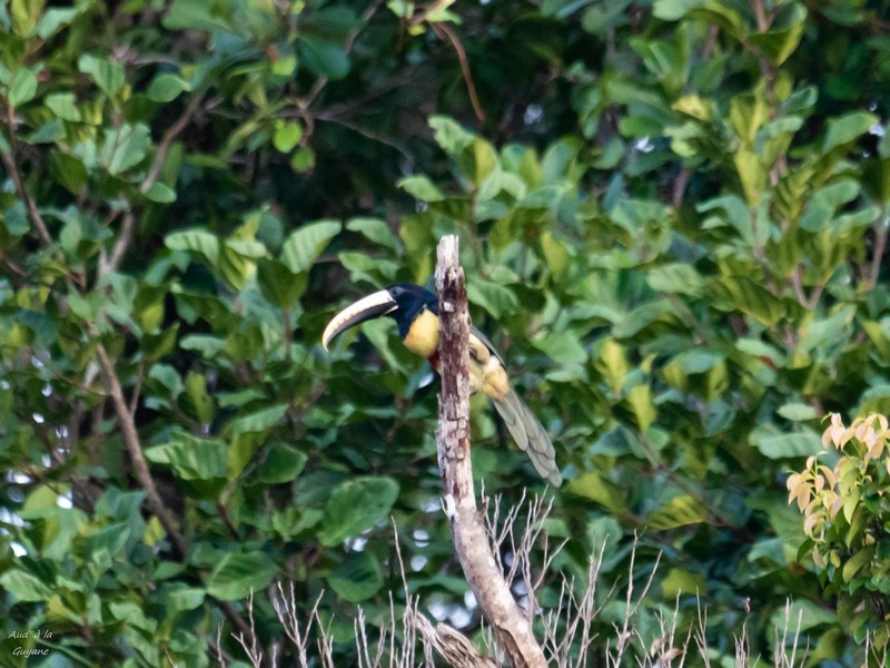 Image058.jpg