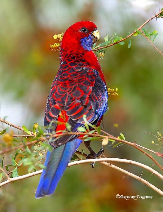 Image067.jpg