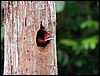 Image002.jpg