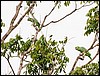 Image003.jpg
