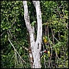 Image004.jpg