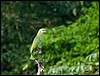 Image005.jpg