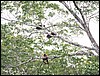 Image008.jpg