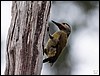 Image010.jpg