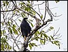 Image011.jpg