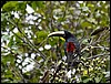 Image012.jpg